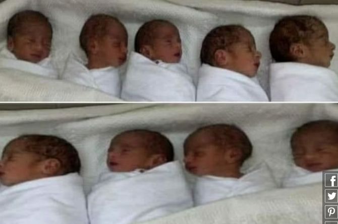 Nonuplets Babies