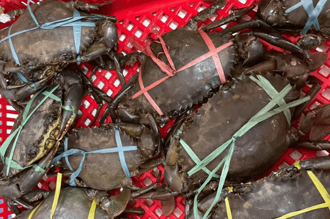 best place to buy seafood near me