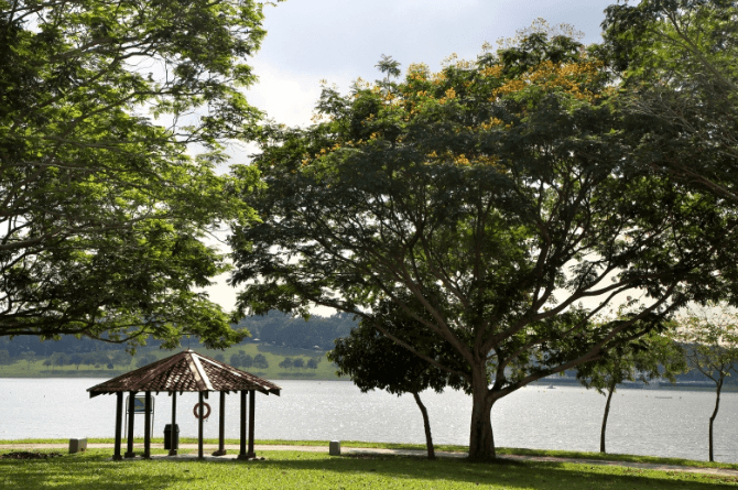 walking trail singapore