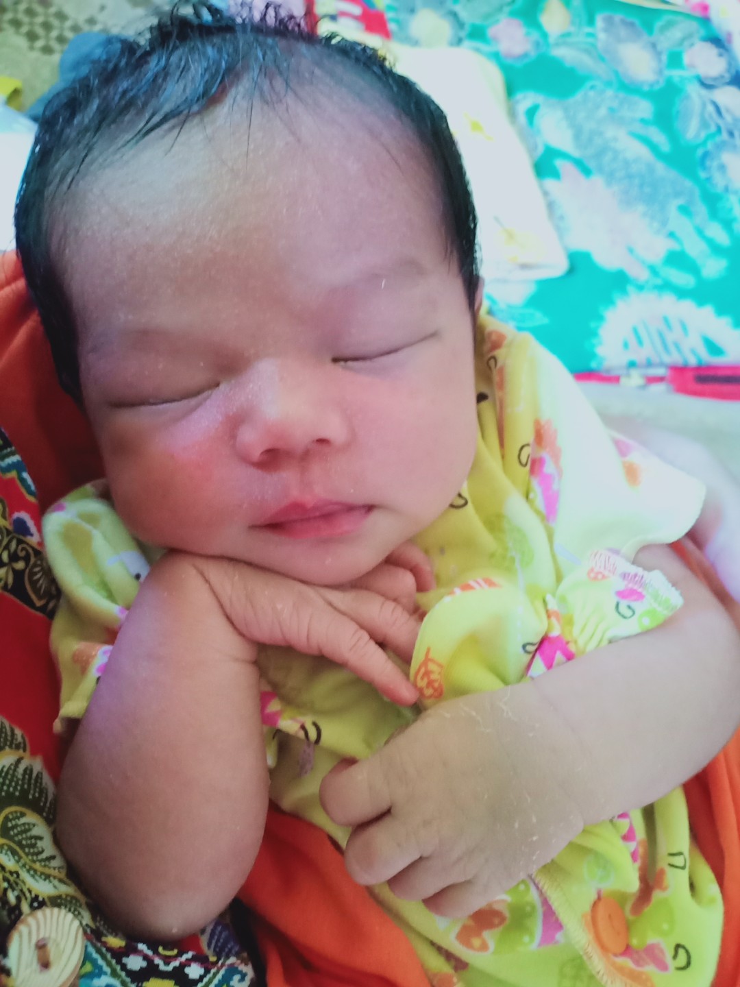 Telah lahir