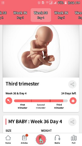 third trimester