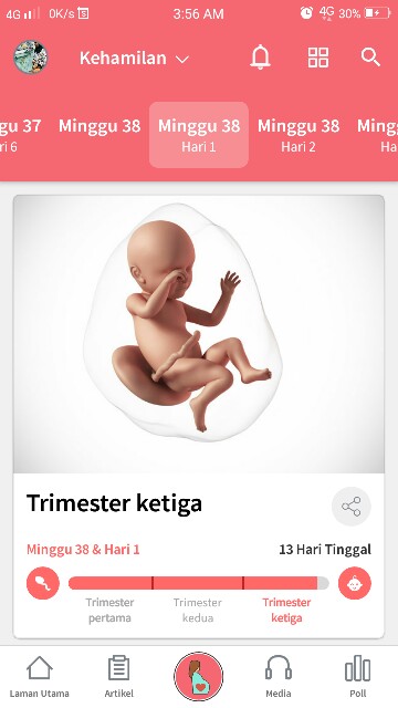 3rd Trimester