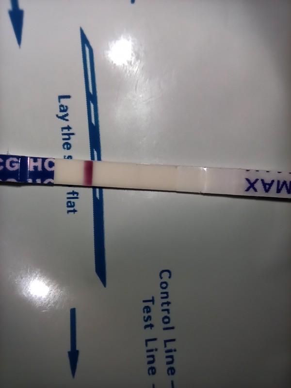 Pregnancy Test