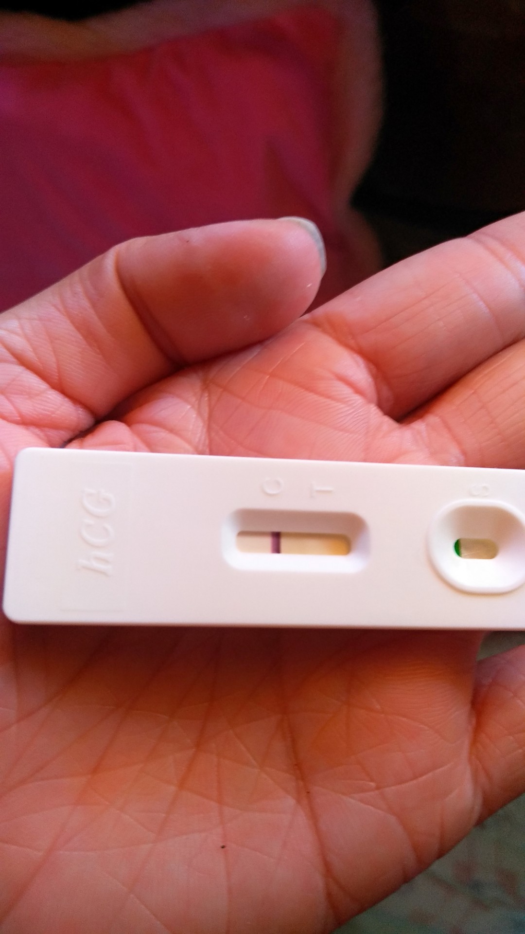 Pregnancy Test