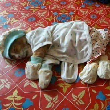 masih bayi uda tidur miring2