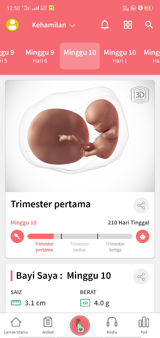 Kali pertama pregnant n berpuasa di awal kehamilan ,