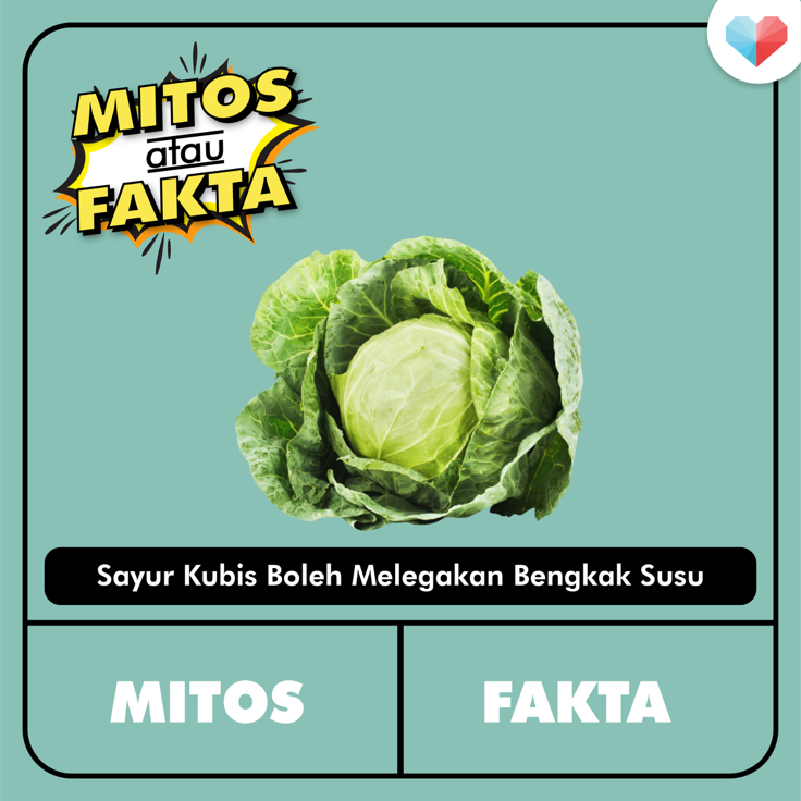 MITOS Atau FAKTA