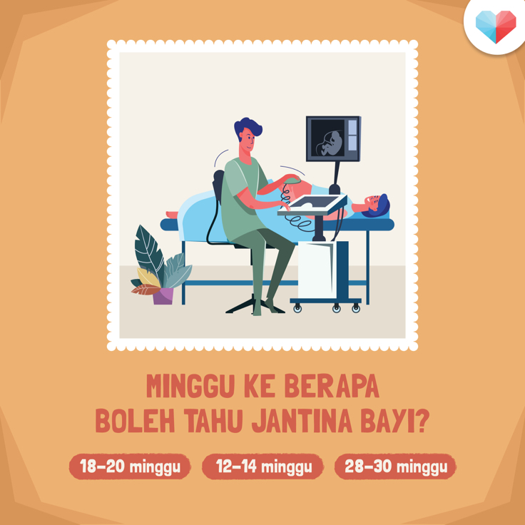 Game: Minggu Ketahui Jantina Bayi