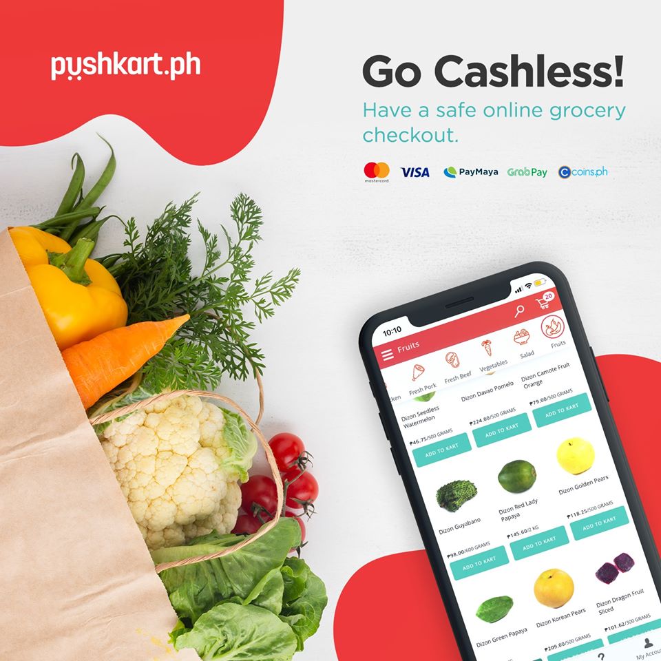 online grocery stores in the philippines: Pushkart