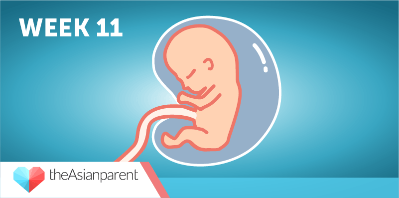 Guide sa pagbubuntis: Ang ika-10 na linggo ng iyong pagbubuntis