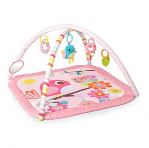 Bright Starts Birds and Blooms Activity Gym | Best Baby Play Mat Philippines