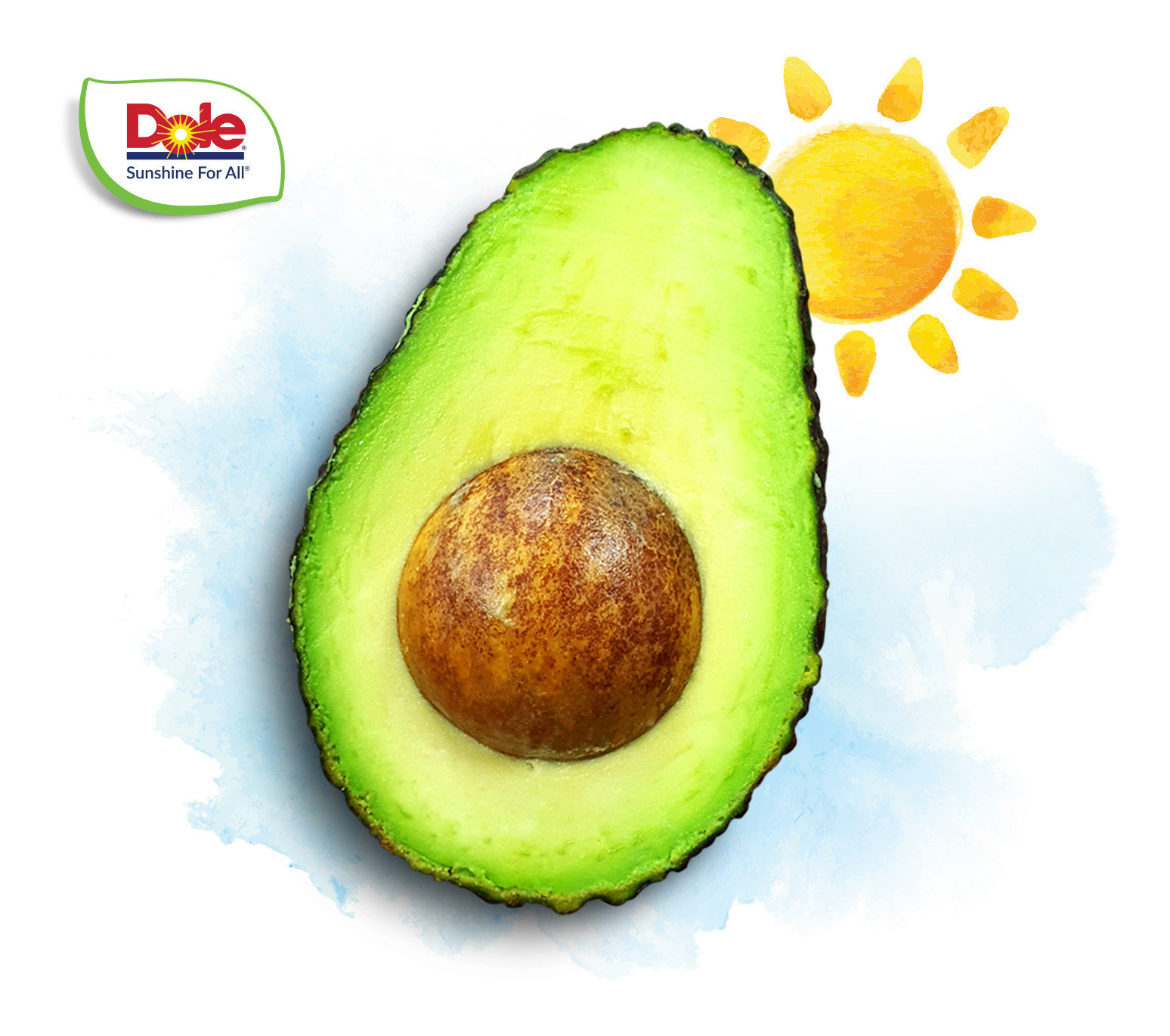 Dole Fresh Avocado Hass Large (Pack of 3) | Fruits for Pregnant