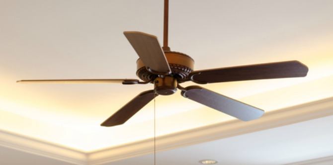 Mummies Beware Ceiling Fans Can Be A Safety Hazard - Ceiling Fan Suddenly Stops Working Mummies Beware Ceiling Fans Can Be A Safety Hazard - Ceiling Fan Suddenly Stops Working