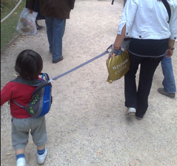 child harness leash