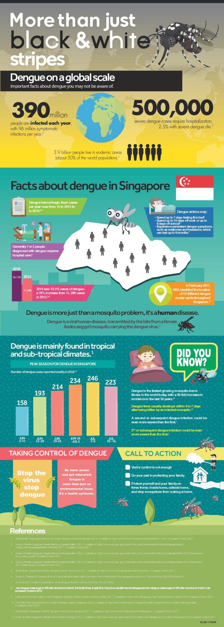 Prevent Dengue in Singapore by Following These Easy Steps