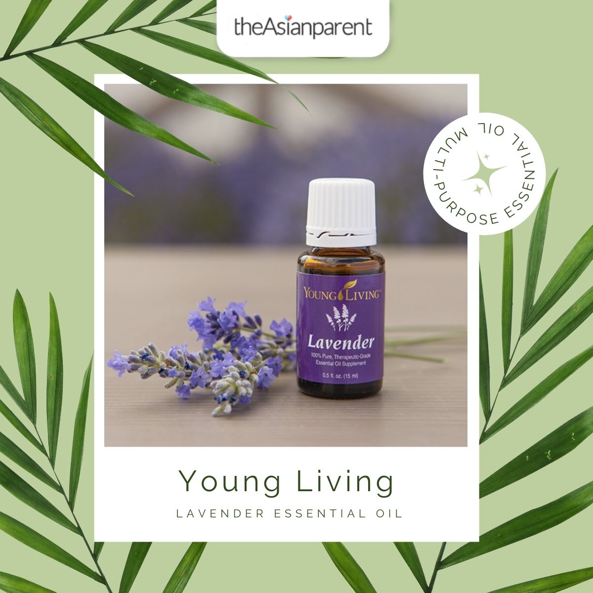 Young Living Lavender Essential Oil Review | Best Pregnancy Essential Oil