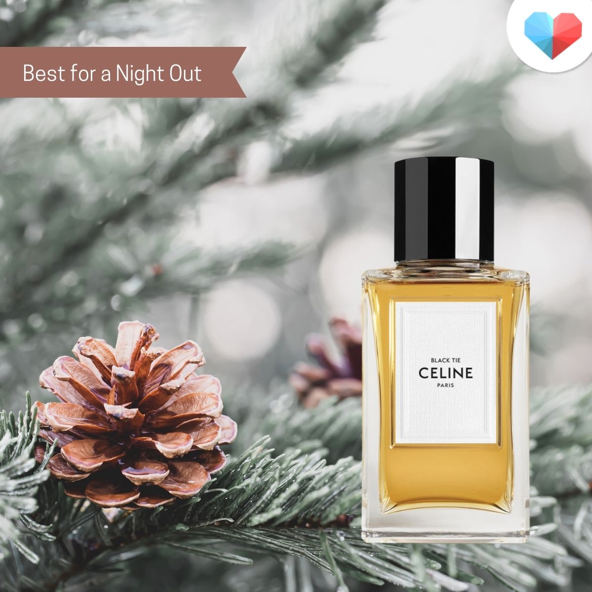 Celine Black Tie Review | Best Perfume for Men