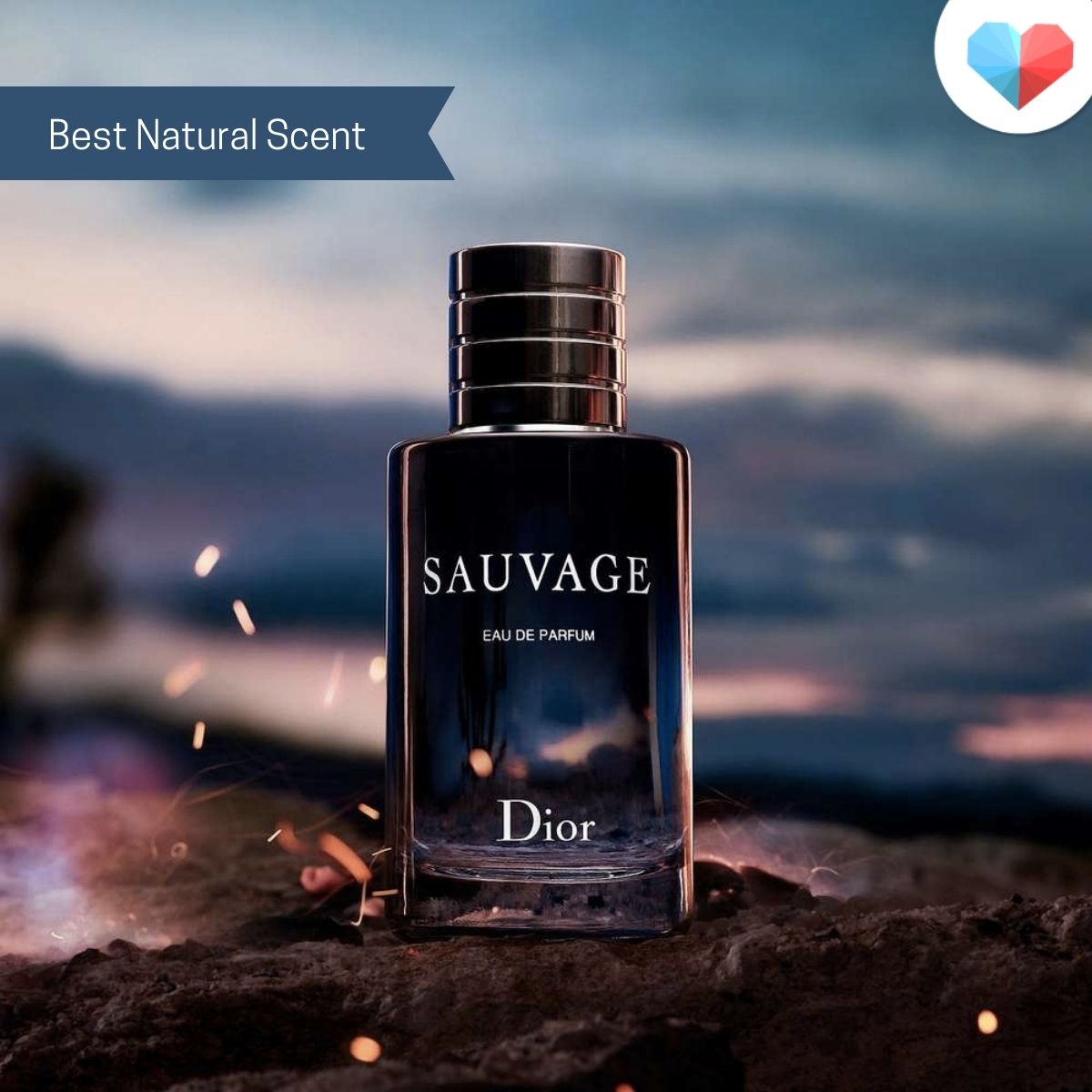 Dior Sauvage Review | Best Perfume for Men