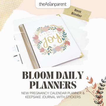 Bloom Daily Planners New Pregnancy Calendar Planner & Keepsake Journal with Stickers Singapore