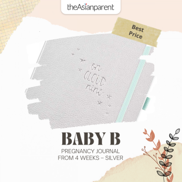 Baby B Pregnancy Journal Singapore from 4 Weeks – Silver