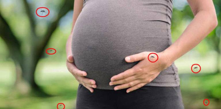 Nyamuk Lebih Senang Dengan Ibu Hamil Bumil Lebih Sering Digigit Nyamuk