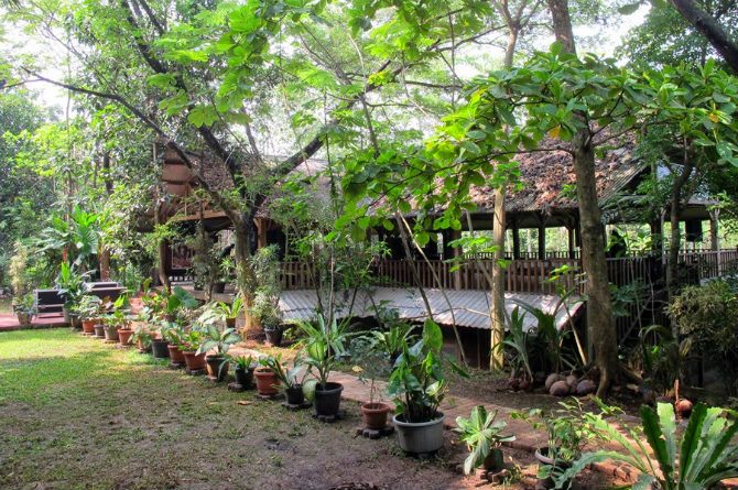 Kampung 99 Pepohonan Depok dengan konsep rekreasi keluarga yang menyatu dengan alam