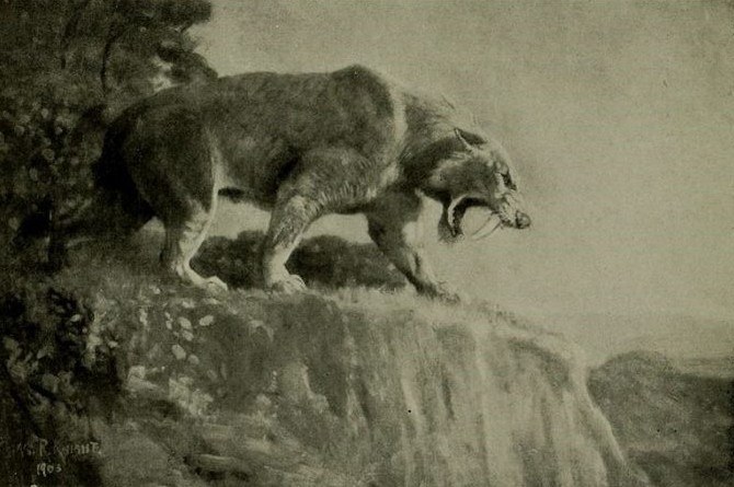 10 Hewan yang Sudah Punah di Dunia, Ada Mammoth Hingga Ibex!