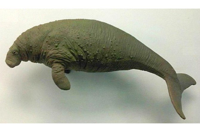 10 Hewan yang Sudah Punah di Dunia, Ada Mammoth Hingga Ibex!