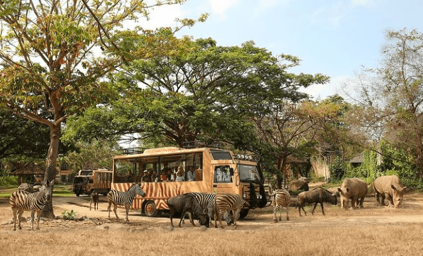 tempat liburan keluarga di Bali, Tempat Rekreasi Edukasi fauna terbaik