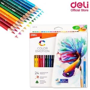 Colour Pencils Deli