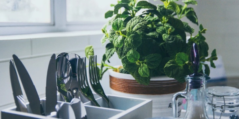 How to grow 7 essential Asian herbs right in your own home