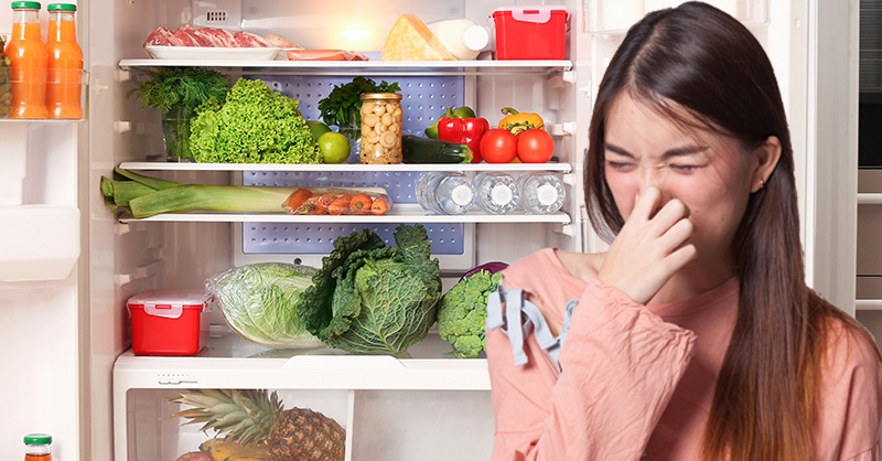 7 วิธี ดับกลิ่นตู้เย็น เหม็นเน่า เหม็นหืน เหม็นอับ กลิ่นไม่พึ่งประสงค์