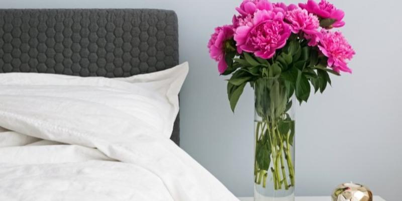 11 elemen untuk membawa feng shui keberuntungan untuk rumah Anda