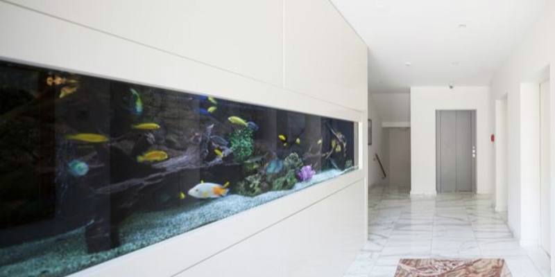 16 tips desain menurut Feng Shui untuk membawa keberuntungan di rumah Anda