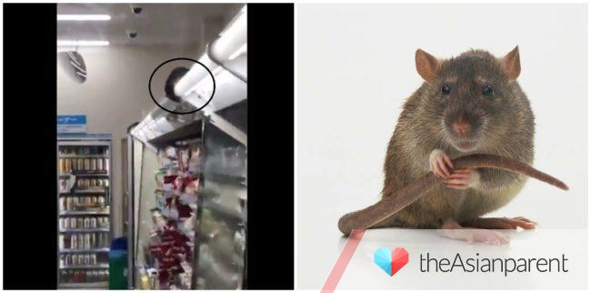 Pengalaman Digigit Tikus Sewaktu Hamil Bayi Ini Lahir Tidak Sempurna