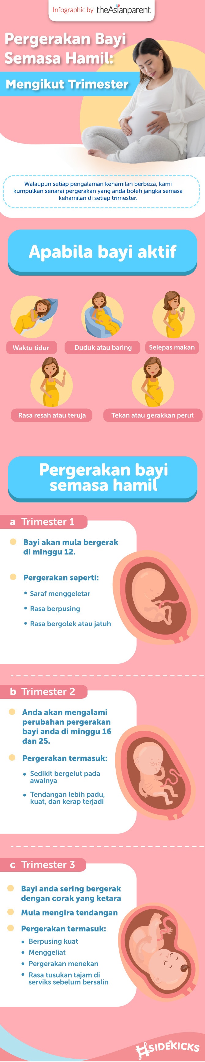 infographic