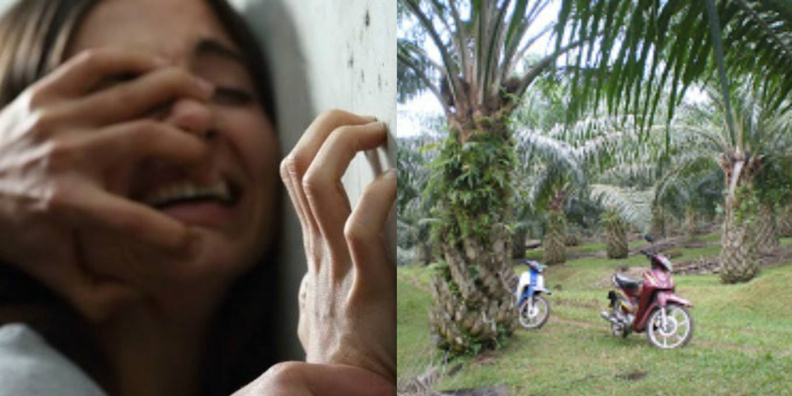 Budak Kena Rogol Oleh Lima Lelaki Dalam Ladang Kelapa Sawit