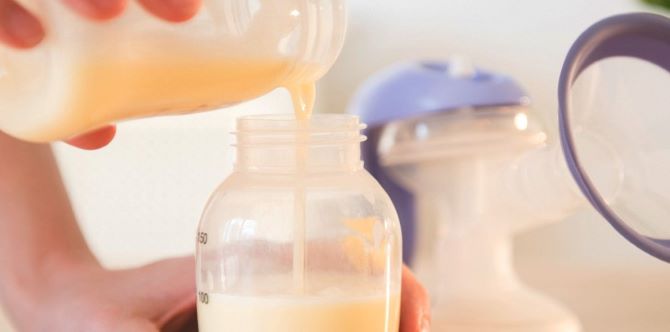 Untuk Ibu Yang Masih Mencari Bottle Warmer Terbaik, Ini Kami Senaraikan!