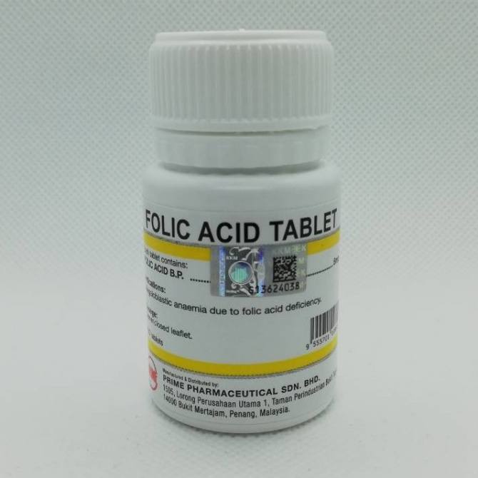 acid folic terbaik